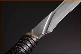 开云APP-棒球夜战：荆楚飞鹰队强势反弹胶东犀牛队，主帅临场妙招韧性与执行并存